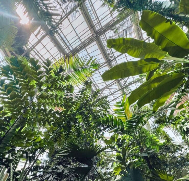 Dorothy Chapman Fuqua Conservatory at Atlanta Botanical Garden