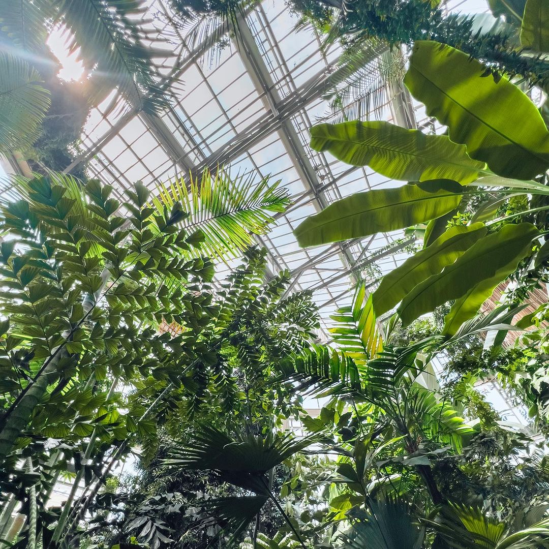 Dorothy Chapman Fuqua Conservatory at Atlanta Botanical Garden