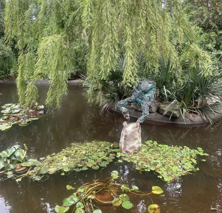 Frog and Lily pads at Atlanta Botanical Garden
