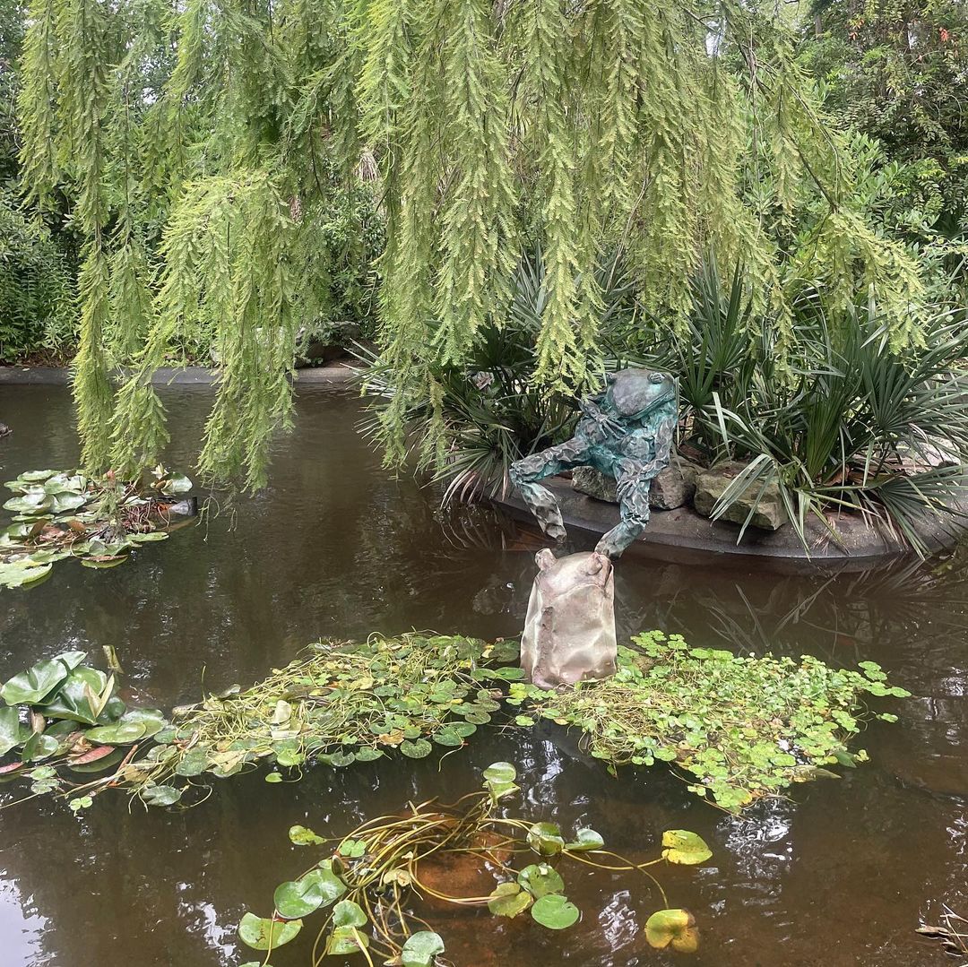Frog and Lily pads at Atlanta Botanical Garden