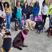 Barks and Bites Doggie Crawl on the Atlanta BeltLine