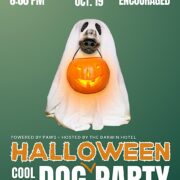 Cool Ass Dog HALLOWEEN Party