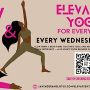 Slow Burn & Bend: Elevated Yoga for Everybody