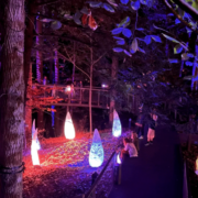WildWoods AGLOW Is Back At Fernbank Museum